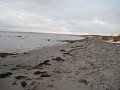 Februar2010 498